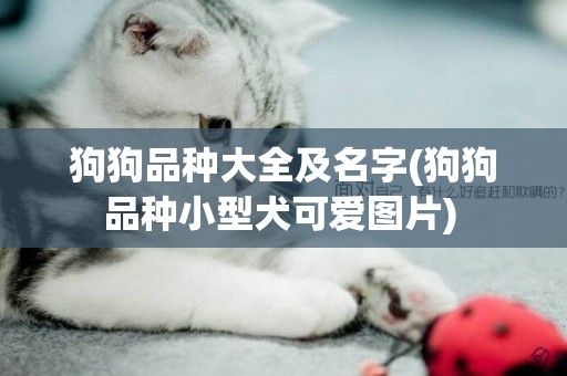 狗狗品種大全及名字(狗狗品種小型犬可愛圖片) 