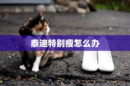 泰迪特別瘦怎么辦