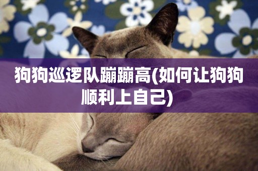 狗狗巡邏隊蹦蹦高(如何讓狗狗順利上自己) 