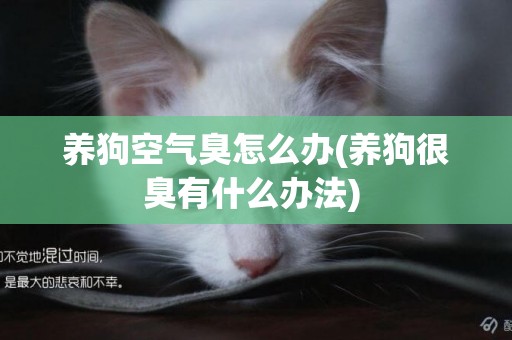 養狗空氣臭怎么辦(養狗很臭有什么辦法) 