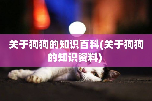 關于狗狗的知識百科(關于狗狗的知識資料) 