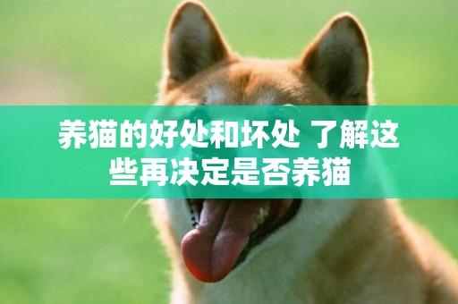 養貓的好處和壞處 了解這些再決定是否養貓