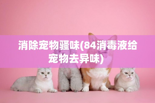 消除寵物騷味(84消毒液給寵物去異味) 