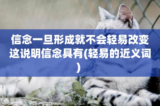 信念一旦形成就不會輕易改變這說明信念具有(輕易的近義詞) 
