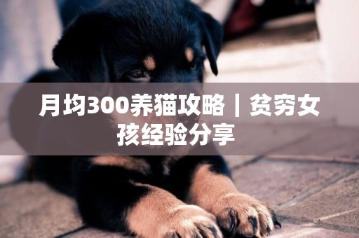 月均300養貓攻略｜貧窮女孩經驗分享 