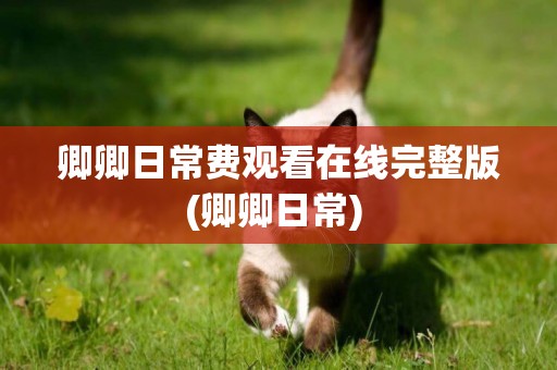 卿卿日常費觀看在線完整版(卿卿日常) 