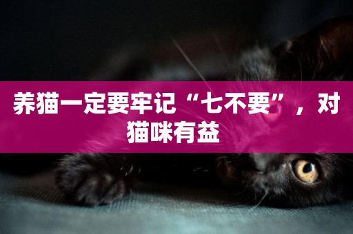 養貓一定要牢記“七不要”，對貓咪有益 