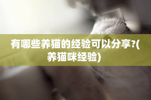 有哪些養貓的經驗可以分享?(養貓咪經驗) 
