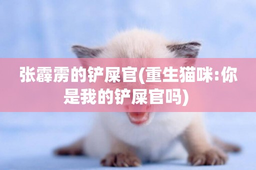 張霹靂的鏟屎官(重生貓咪:你是我的鏟屎官嗎) 