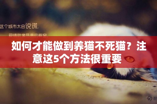 如何才能做到養貓不死貓？注意這5個方法很重要 