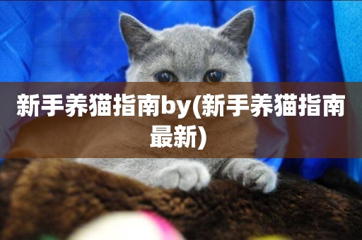 新手養貓指南by(新手養貓指南最新) 
