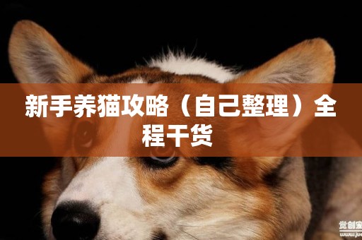 新手養貓攻略（自己整理）全程干貨 