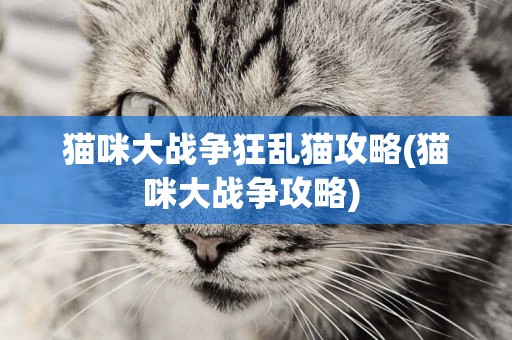 貓咪大戰爭狂亂貓攻略(貓咪大戰爭攻略) 