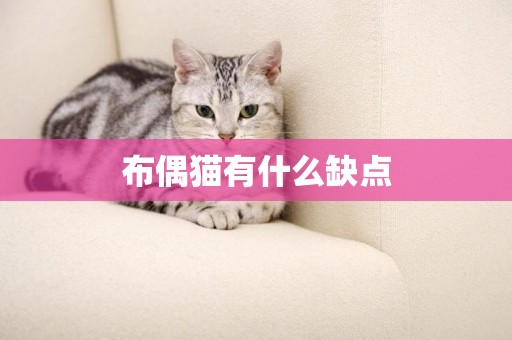布偶貓有什么缺點