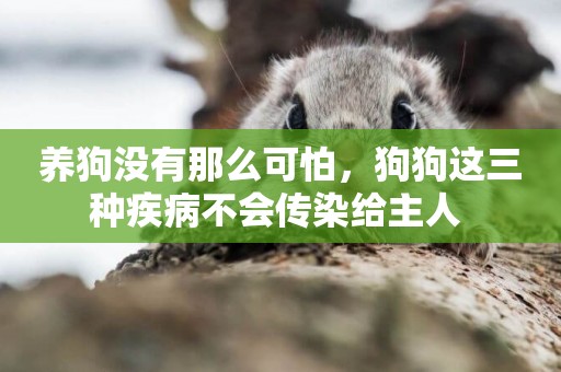 養狗沒有那么可怕，狗狗這三種疾病不會傳染給主人 