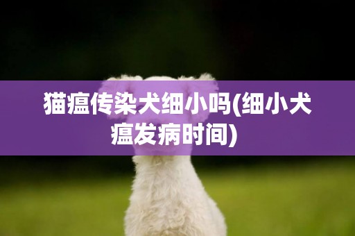 貓瘟傳染犬細小嗎(細小犬瘟發病時間) 