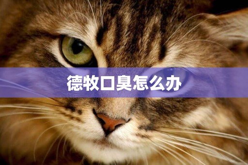 德牧口臭怎么辦