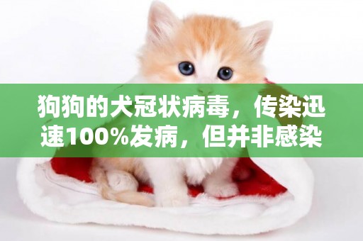 狗狗的犬冠狀病毒，傳染迅速100%發病，但并非感染就會死亡 