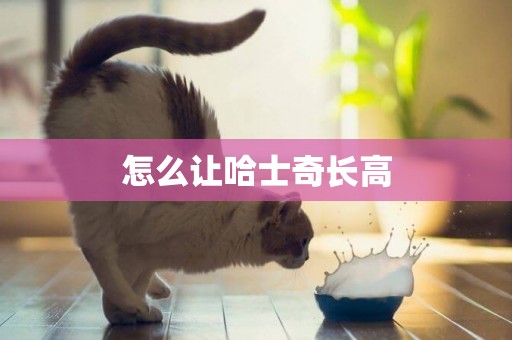 怎么讓哈士奇長高