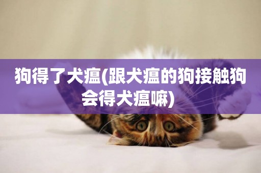 狗得了犬瘟(跟犬瘟的狗接觸狗會得犬瘟嘛) 