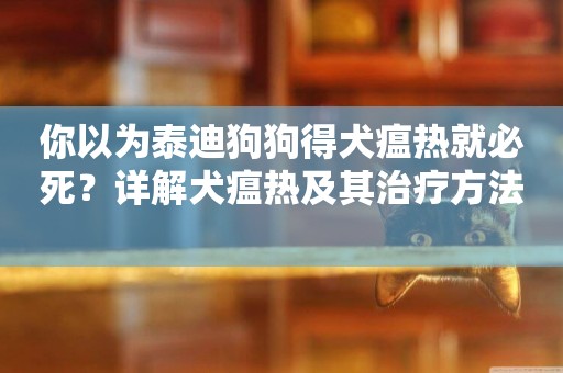 你以為泰迪狗狗得犬瘟熱就必死？詳解犬瘟熱及其治療方法 
