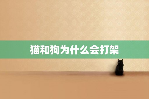 貓和狗為什么會打架