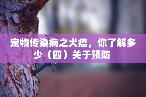 寵物傳染病之犬瘟，你了解多少（四）關于預防 