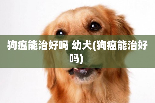 狗瘟能治好嗎 幼犬(狗瘟能治好嗎) 