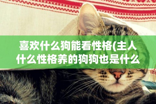 喜歡什么狗能看性格(主人什么性格養的狗狗也是什么性格) 