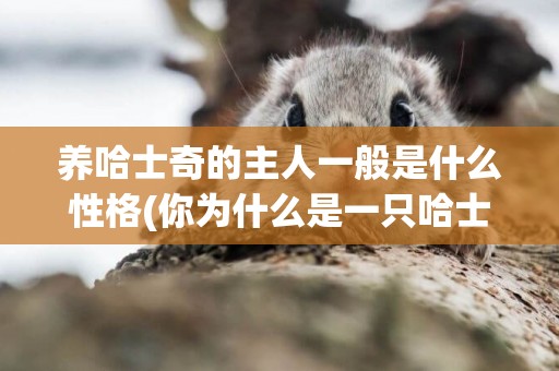 養哈士奇的主人一般是什么性格(你為什么是一只哈士奇) 
