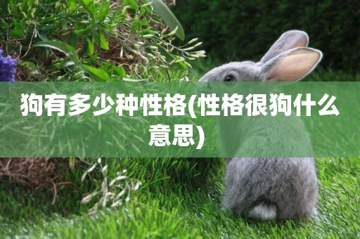 狗有多少種性格(性格很狗什么意思) 