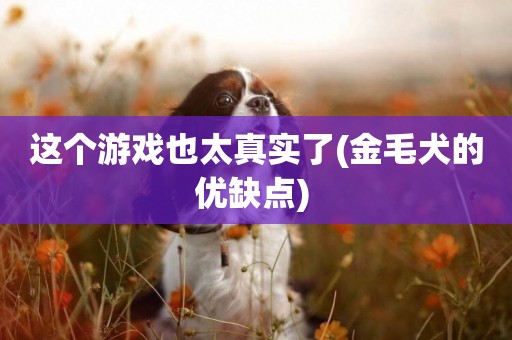 這個游戲也太真實了(金毛犬的優缺點) 
