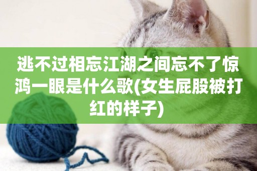 逃不過相忘江湖之間忘不了驚鴻一眼是什么歌(女生屁股被打紅的樣子) 