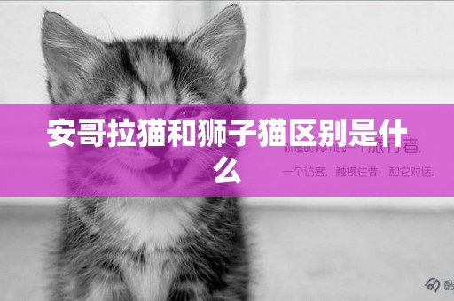 安哥拉貓和獅子貓區別是什么