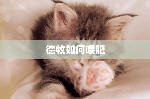 德牧如何喂肥