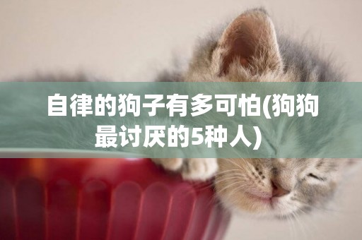 自律的狗子有多可怕(狗狗最討厭的5種人) 