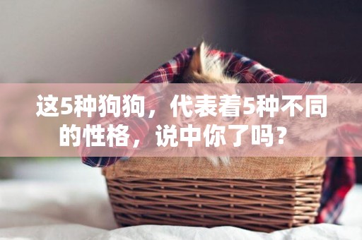 這5種狗狗，代表著5種不同的性格，說中你了嗎？ 