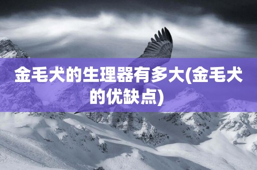 金毛犬的生理器有多大(金毛犬的優缺點) 