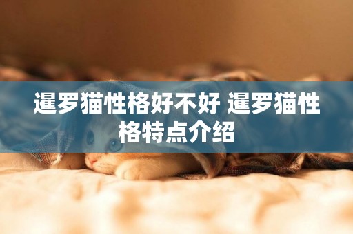 暹羅貓性格好不好 暹羅貓性格特點介紹