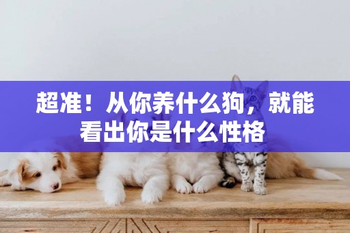 超準！從你養什么狗，就能看出你是什么性格 