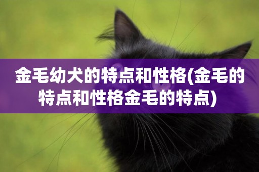 金毛幼犬的特點和性格(金毛的特點和性格金毛的特點) 