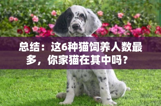 總結：這6種貓飼養人數最多，你家貓在其中嗎？ 