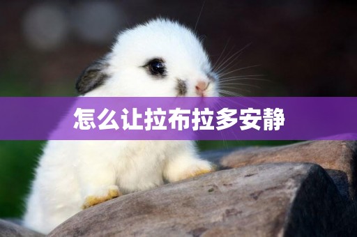 怎么讓拉布拉多安靜