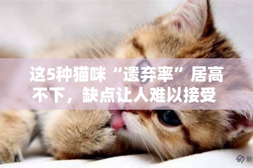 這5種貓咪“遺棄率”居高不下，缺點讓人難以接受 