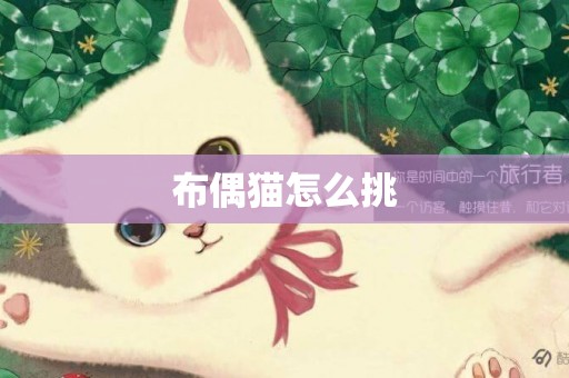 布偶貓怎么挑