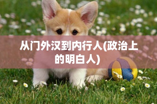 從門外漢到內行人(政治上的明白人) 