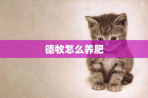 德牧怎么養肥