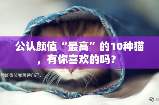 公認顏值“最高”的10種貓，有你喜歡的嗎？ 
