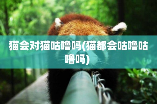 貓會對貓咕嚕嗎(貓都會咕嚕咕嚕嗎) 