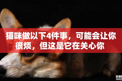 貓咪做以下4件事，可能會讓你很煩，但這是它在關心你 
